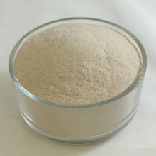Psyllium Husk Powder 95%